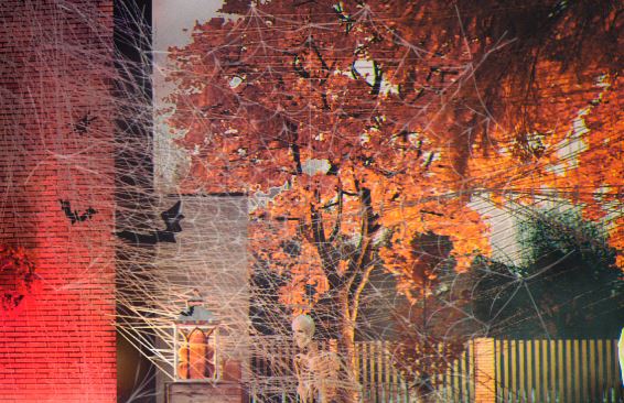 wizualizacje halloween ze szkieletem i pajęczyną