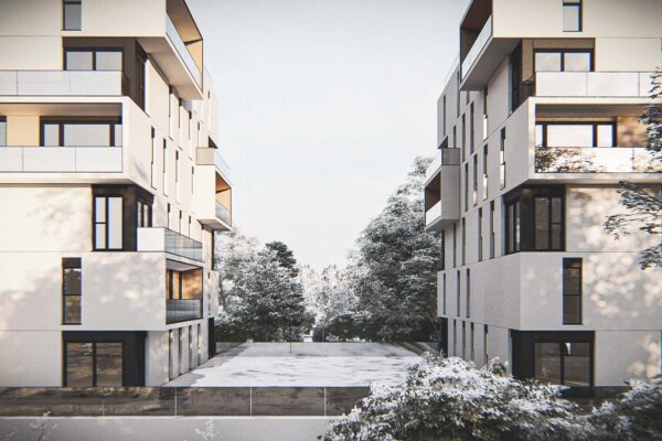 snow6_Photo - 2